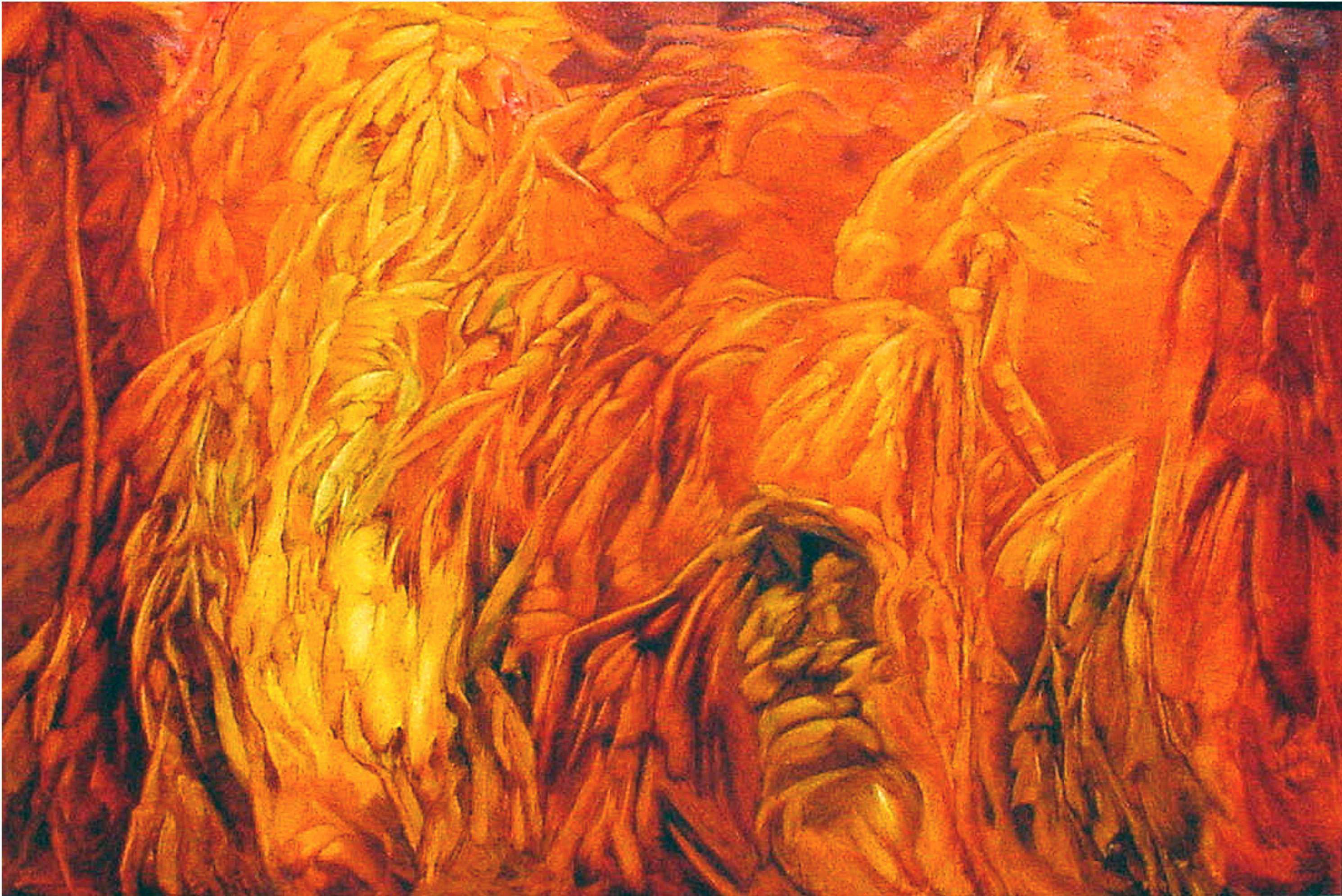 Petra, 2003