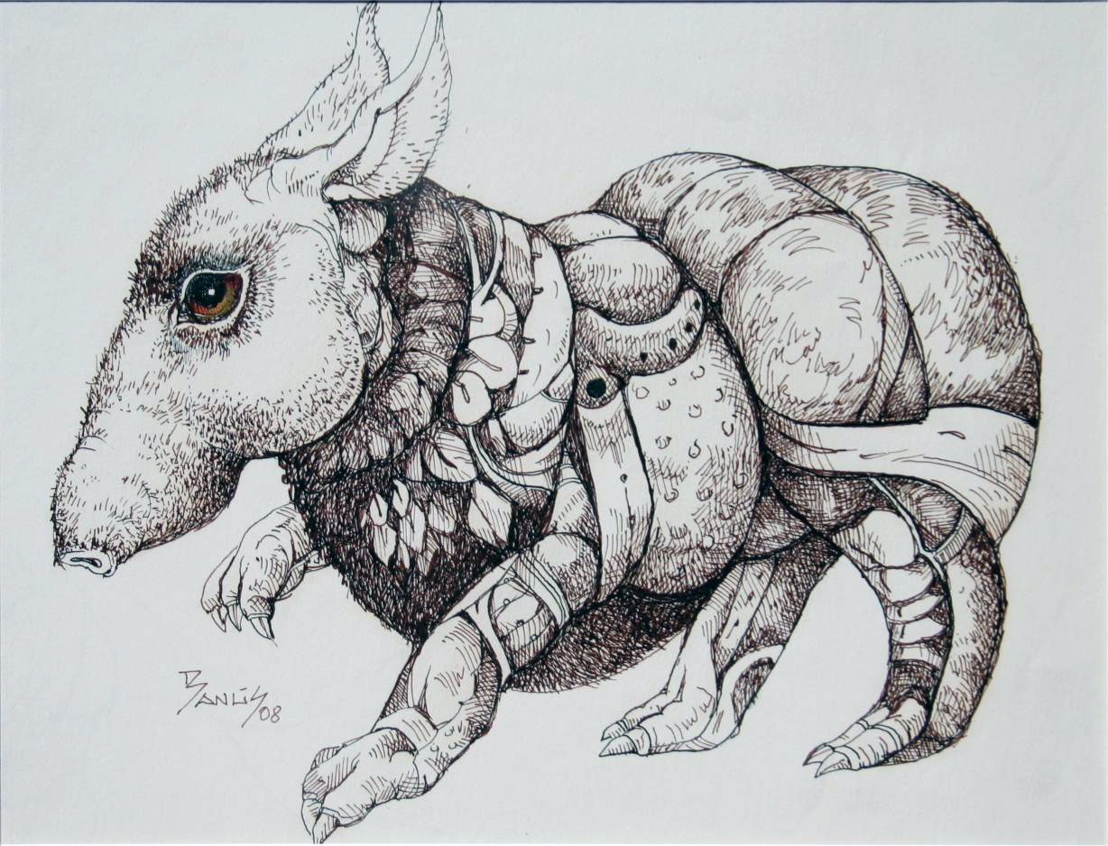 Tapir, 2008